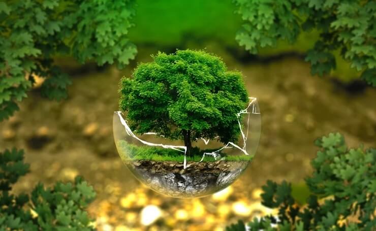 Environmental Scientist
