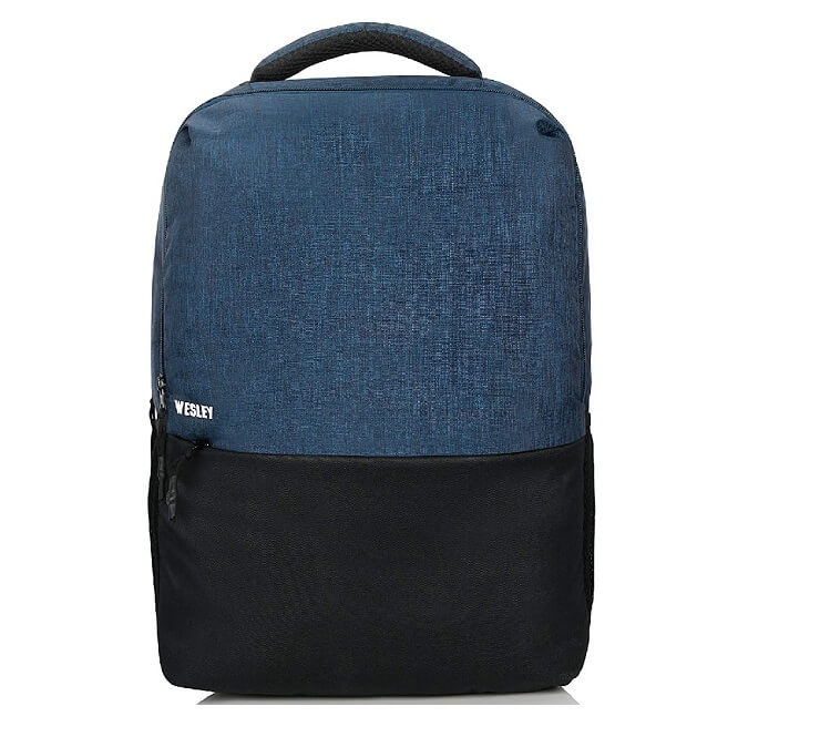 11 Best Laptop Bags for Men and Women in India 2024